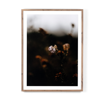 Escape Ii By Annie Spratt by Four Hands